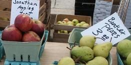 farmers' market apples cropped