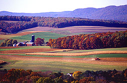 farm panorama